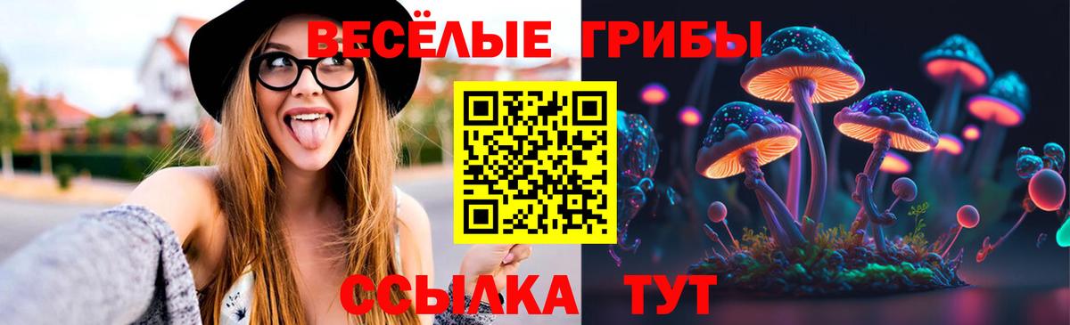 Псилоцибиновые грибы Cubensis Людиново